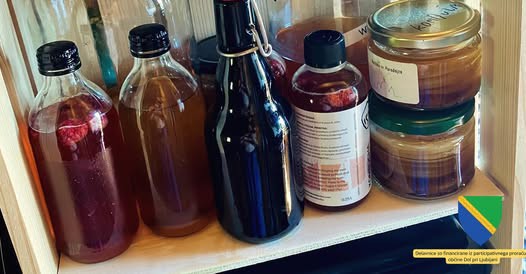 Delavnica fermentacije – izdelava kombuče