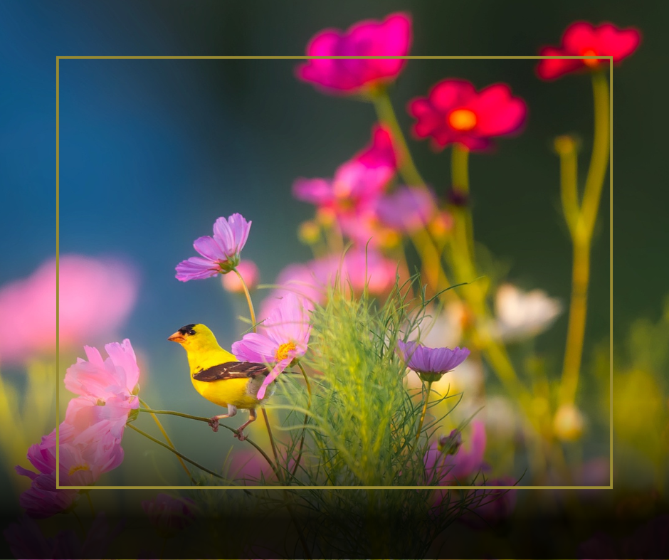 ČESTITKA OB DNEVU ŽENA IN MATERINSKEM DNEVU