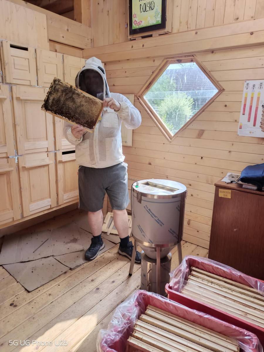 OSKRBA ČEBELJIH DRUŽIN SKOZI LETO PO NAČELIH DOBRE ČEBELARSKE PRAKSE