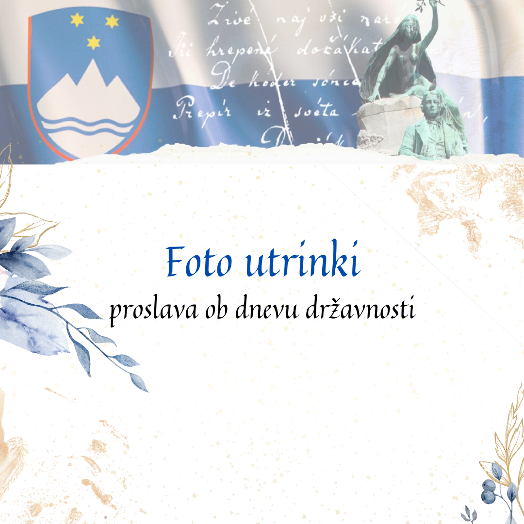 Foto utrinki - proslava ob dnevu državnosti