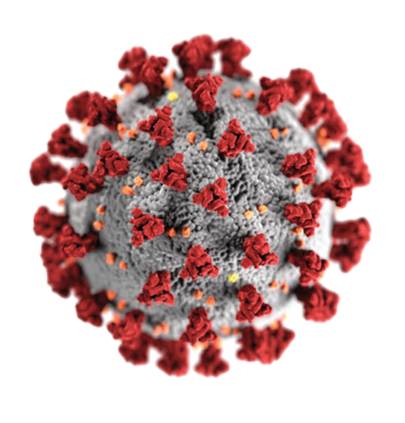 Pomembno obvestilo o ukrepanju v epidemiji