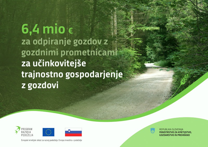 Javni razpis MKGP za naložbe v ureditev gozdne infrastrukture
